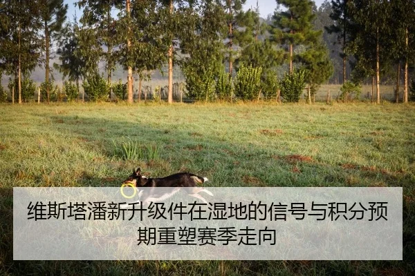 wei-si-ta-pan-xin-sheng-ji-jian-zai-shi-di-de-xin-hao-yu-ji-fen-yu-qi-zhong-su-sai-ji-zou-xiang-1-327.jpg